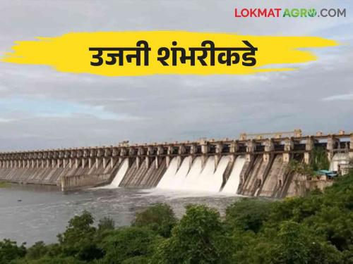 Ujani Dam Water Level: overflow of 16 dams which is mixing in Ujani dam | Ujani Dam Water Level: उजनीत मिसळणारी १६ धरणे ओव्हरफ्लो जाणून घ्या उजनीची पाणीपातळी