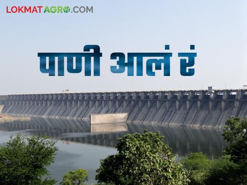 Water will release from Ujani Dam; electricity connection off sina river side villages | उजनी धरणातून पाणी सुटणार; सीना नदीकाठावरील वीज बंद