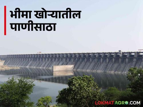 When will be this largest dam in Maharashtra filled? | महाराष्ट्रातील सर्वात मोठं हे धरण कधी भरणार