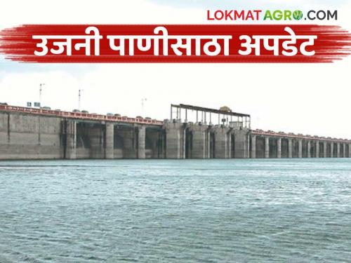 How much water has flowed into Ujani Dam in the last 24 hours? Know in detail | उजनी धरणात मागील २४ तासांत आले किती पाणी? जाणून घ्या सविस्तर