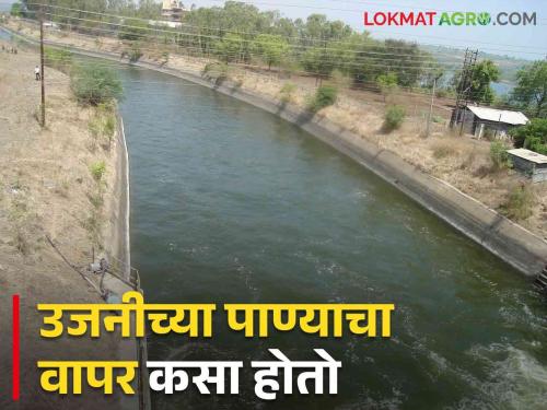 Ujani Dam Water Distribution : Ujani Dam 100 percent full, how to water is distributed and how much evaporation occurs | Ujani Dam Water Distribution : उजनी धरण शंभर टक्के भरले कशी केली जाते पाण्याची वाटप अन् किती होते बाष्पीभवन