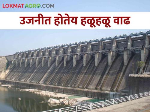 Ujani Dam: Slow rise in water level of Ujani Dam | Ujani Dam उजनीच्या पाणी पातळीत संथगतीने वाढ