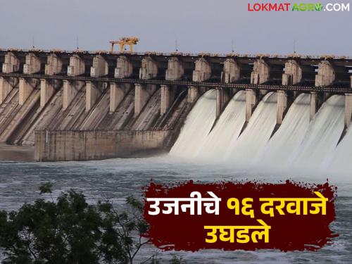 50,000 cusecs released from 16 gates of Ujani Dam; How much water is in the dam at present? | उजनी धरणाच्या सोळा मोऱ्यातून ५० हजार क्युसेकने विसर्ग; धरणात आजमितीला किती पाणी?