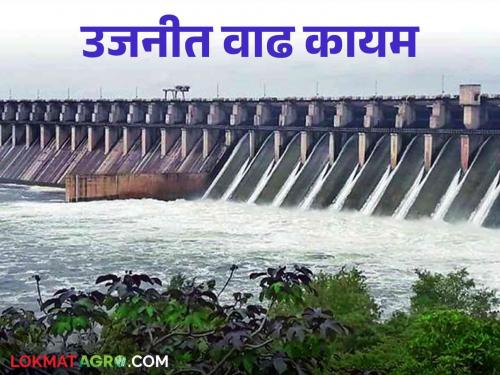 Ujani Dam Water: Only this much water now is required to fill Ujani Dam to its full capacity | Ujani Dam Water: उजनी धरण पूर्ण क्षमतेने भरण्यासाठी आता पाहिजे फक्त इतकं पाणी