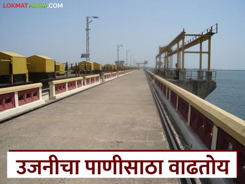 Uajni Dam Water Level : By how much percentage is the water level of Uajni Dam increasing every day? | Uajni Dam Water Level : उजनी धरणाच्या पाणी पातळीत दररोज किती टक्क्यांनी होतेय वाढ?