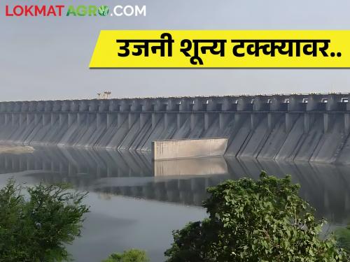 Ujani Dam water storage early in minus; Farmers worried | उजनी धरण चार महिने आधीच मायनसमध्ये; शेतकरी चिंतेत