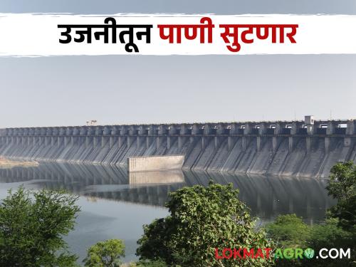 will release water from 'Ujani' on Friday | Ujani Dam 'उजनी'तून शुक्रवारी पाणी सोडणार