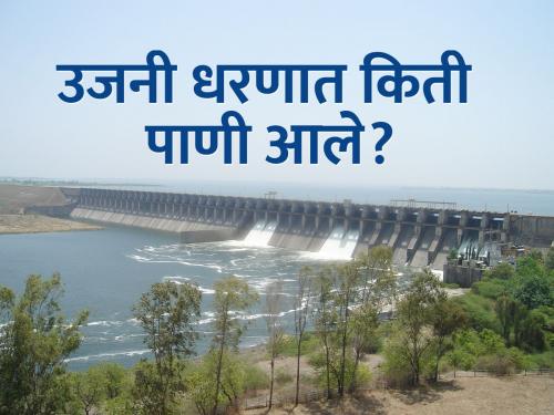 The force of rain increased on Ujani dam; How much water came in the dam? | उजनीवर पावसाचा जोर वाढला; धरणात किती पाणी आले?