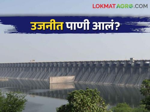 Uajni Dam; The water level of the dam is stable due to rain in the catchment area of Uajni | Uajni Dam उजनीच्या पाणलोट क्षेत्रातील पावसाने धरणाची पाणीपातळी स्थिरच