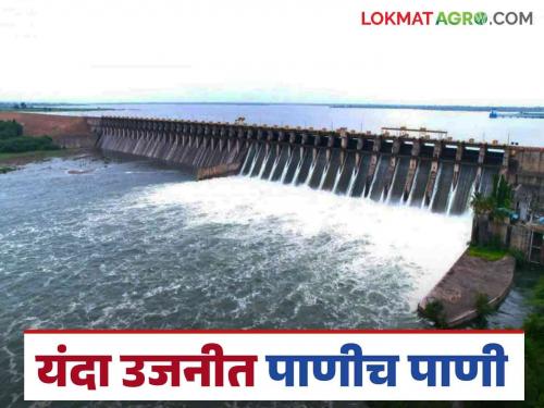 Ujani Dam Water Level : Last year only 31 percent full Ujani at what percent this year | Ujani Dam Water Level : गतवर्षी केवळ ३१ टक्के भरलेले उजनी यंदा किती टक्क्यांवर