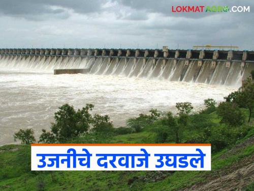 Ujani Dam Water Level : 16 gates of Ujani Dam opened; 10 thousand cusecs of water released | Ujani Dam Water Level : उजनी धरणाचे १६ दरवाजे उघडले; १० हजार क्युसेकने विसर्ग सुरु