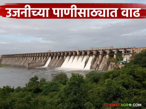 Ujani Dam Water Level : Heavy rains in Bhima Valley increase water storage in Ujani Dam | Ujani Dam Water Level : भीमा खोऱ्यातील मुसळधार पावसामुळे उजनी धरणाच्या पाणीसाठ्यात वाढ