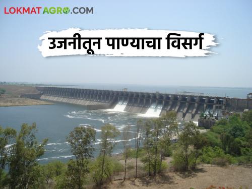 Released six thousand cusecs of water from Ujani dam | Ujani Dam उजनीतून सहा हजार क्युसेक पाणी सोडले