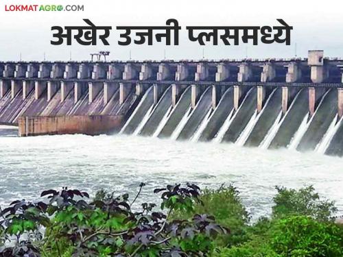 Ujani Dam Water Level: The big news of Ujani Dam is in the plus, how much water | Ujani Dam Water Level: उजनी धरणाची मोठी खबर धरण आलं प्लसमध्ये किती झाला पाणीसाठा