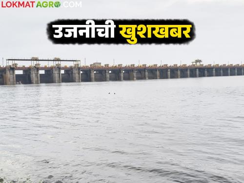 Farmers' worries are over; Ujani Dam's water storage has increased significantly in the last 15 days | शेतकऱ्यांची चिंता मिटली; मागील १५ दिवसात उजनी धरणाच्या पाणीसाठ्यात मोठी वाढ