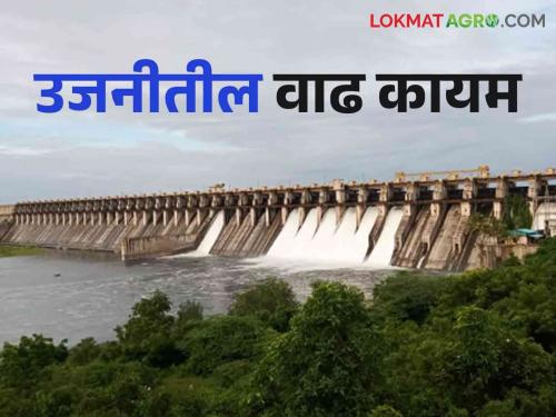 Ujani Dam Water Level: How much TMC water has entered Ujani Dam in the last 33 days | Ujani Dam Water Level: मागील ३३ दिवसांत उजनी धरणात आलं किती टीएमसी पाणी