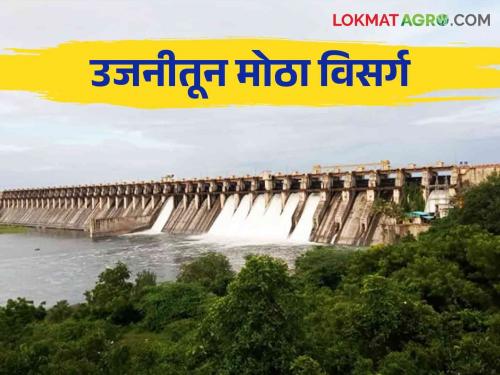 Ujani Dam Water Level: 30 TMC of water released from Ujani in eight days how much water in storage | Ujani Dam Water Level : उजनीतून आठ दिवसांत सोडले ३० टीएमसी पाणी धरणात किती पाणीसाठा