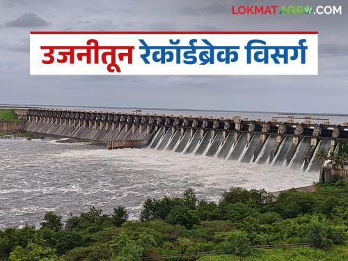 Nearly 1.25 lakh cusecs of water discharged into Chandrabhaga from the confluence of Ujani and Veer dams; Flood risk will increase | उजनी व वीर धरणाच्या संगमातून चंद्रभागेत तब्बल सव्वा लाख क्युसेकचा विसर्ग; पूराचा धोका वाढणार
