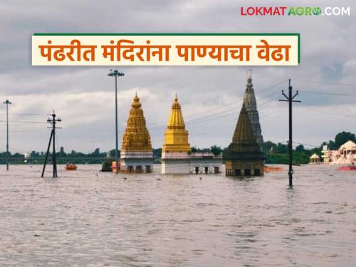 Two and a half lakhs of water released from Ujani and Veer dams; Temples in Pandharpur under water | उजनी आणि वीर धरणातून पावणेदोन लाखांचा विसर्ग; पंढरपुरात मंदिरांना पाण्याचा वेढा