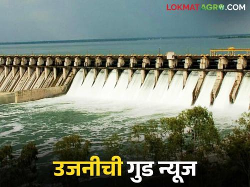 Ujani Dam Water Level : Due to unseasonal rains in Ujani Plus; How much water is stored in the dam? | Ujani Dam Water Level : अवकाळी पावसामुळे उजनी प्लसमध्ये; धरणात किती पाणीसाठा?