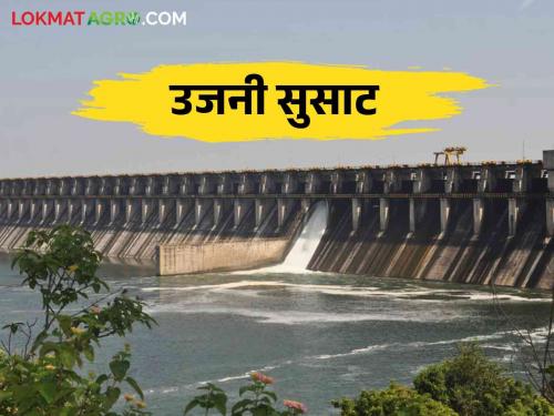 Ujnai Dam Water Level: 4 percent rise in Ujnai Dam water level in three days; How much water came in the dam | Ujnai Dam Water Level: तीन दिवसांत उजनीच्या पातळीत ४ टक्क्यांनी वाढ; धरणात आलं किती पाणी