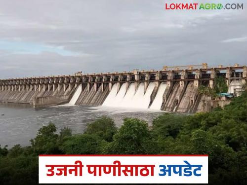 How much percent has the water level increased in Ujani Dam in the last eight days? How much water is stored in the dam? | गेल्या आठ दिवसांत उजनी धरणात किती टक्के पाणीपातळी वाढली? धरणात किती पाणीसाठा?