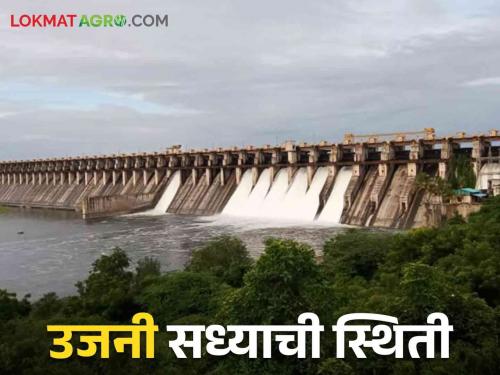 Ujani Dam Water Level: Ujani likely to come out of dead reservoir in eight days Read more | Ujani Dam Water Level: आठ दिवसांत उजनी मृत साठ्यातून बाहेर येण्याची शक्यता वाचा सविस्तर