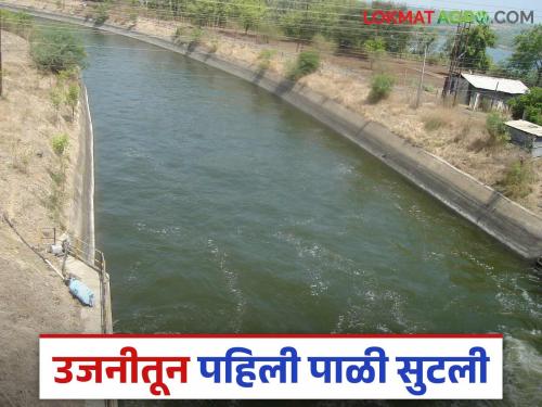 Ujani Dam: Has the first batch of water of the summer season been released from Ujani Dam? How much water is stored now in the dam? | Ujani Dam : उजनी धरणातून उन्हाळी हंगामातील पहिल्या पाळीचे पाणी सोडले? धरणात आता किती पाणीसाठा?