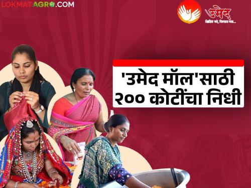 Self-help groups now have a proper market; Cabinet approves setting up 'Umed Mall' in 10 districts of the state | बचत गटांना आता हक्काची बाजारपेठ; राज्यात १० जिल्ह्यांमध्ये 'उमेद मॉल' उभारण्यास मंत्रिमंडळाची मंजुरी