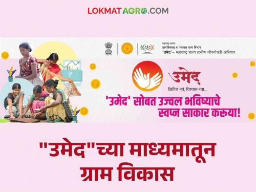 Umaid Abhiyan : Dialogue with 'Cleanliness Work, Clean Self-Governing Groups' in association with Umaid Abhiyan | Umaid Abhiyan : उमेद अभियानची साथीने  'स्वच्छतेचे काम, स्वच्छ बचत गटांसोबत' संवाद