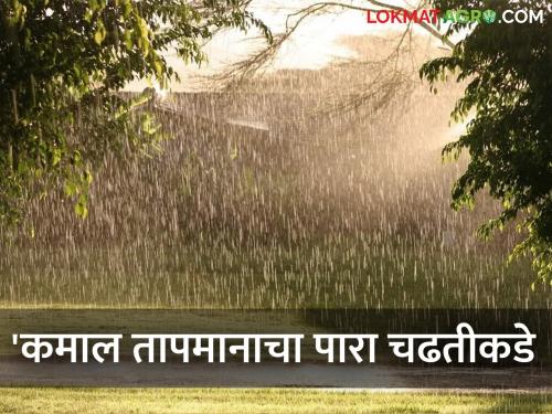 Latest News Maharashtra Rain Update Chance of heavy rain in 23 districts of maharashtra read in detail  | Maharashtra Rain Update : राज्यातील 'या' 23 जिल्ह्यात जोरदार पावसाची शक्यता कायम, वाचा सविस्तर 