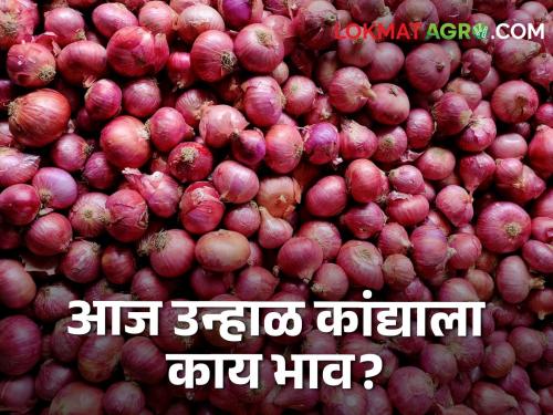 Latest News Todays Onion Bajarbhav in lasalgaon Market yard check onion price | Onion Bajarbhav : लासलगाव-निफाड, विंचूर बाजारात उन्हाळ कांद्याला सारखाच भाव, वाचा आजचे बाजारभाव