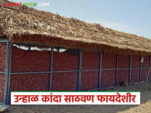 Latest news Kanda Sathavnuk onion chawl more important than cold storage for onion storage Read in detail | Kanda Chal : कांदा साठवणुकीसाठी शीतगृह की कांदा चाळ फायद्याची? वाचा सविस्तर