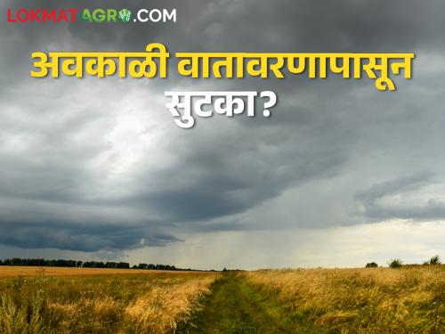 Latest news Get relief from unseasonal rain weather, read weather forecast | शेतकऱ्यांसाठी दिलासादायक! अवकाळी वातावरणापासून सुटका मिळणार, वाचा हवामान अंदाज 