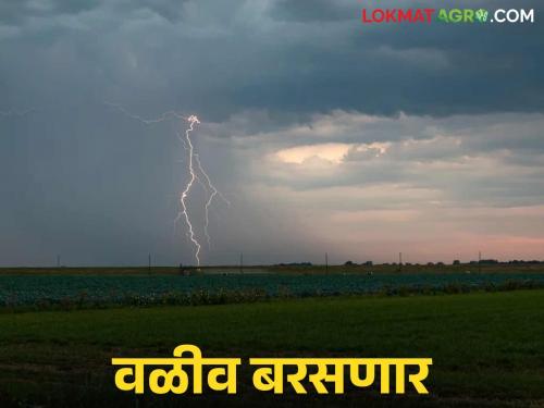 Hail warning today; Heavy rains will occur in Madhya Maharashtra and Marathwada in the state | आजपण गारपिटीचा इशारा; राज्यात मध्य महाराष्ट्र आणि मराठवाड्याच्या या भागात वळीव बरसणार