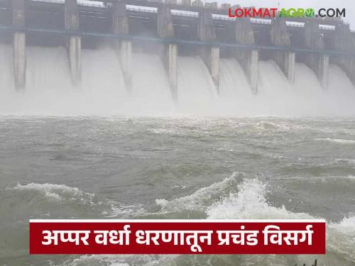 latest news Upper Wardha Dam: Huge discharge from Upper Wardha Dam; Read in detail how much the dam was filled | Upper Wardha Dam : अप्पर वर्धा धरणातून प्रचंड विसर्ग; किती धरण भरले ते वाचा सविस्तर