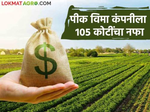 321 crores taken from the center, only 216 crores deposited in farmers' accounts; 105 crore net profit to Crop Insurance Company | केंद्राकडून घेतले ३२१ कोटी, शेतकऱ्यांच्या खात्यावर जमा केले केवळ २१६ कोटी; पीक विमा कंपनीला १०५ कोटींचा निव्वळ नफा