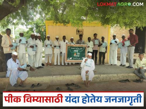 As farmers turn their backs, awareness campaign for crop insurance begins; Farmer ID, e-crop inspection mandatory are also bearing the brunt | शेतकऱ्यांनी पाठ फिरवताच पीक विम्यासाठी जनजागृती सुरू; फार्मर आयडी, ई-पीक पाहणी अनिवार्य केल्याचाही बसतोय फटका
