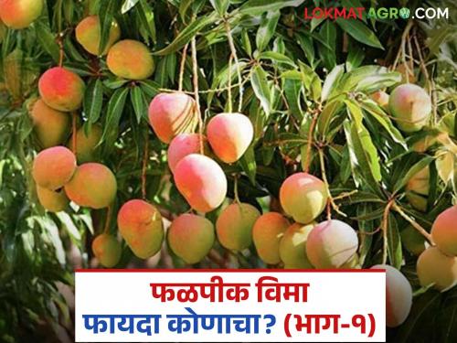 It's been a month since the season ended, but no refunds have been received; Farmers hit by insurance company's incorrect criteria | हंगाम संपून महिना झाला मात्र परतावा काही आलाच नाही; शेतकऱ्यांना विमा कंपनीच्या चुकीच्या निकषांचा फटका