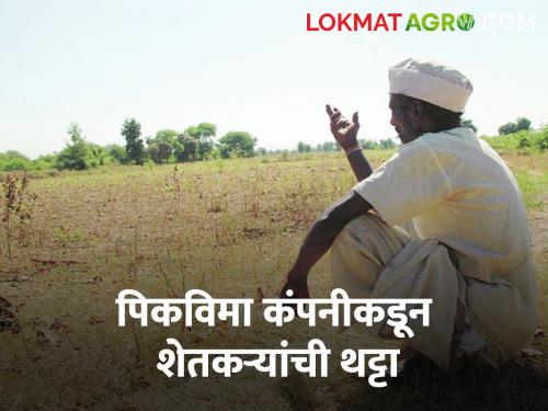 Crop Insurance Mockery from Crop Insurance Company; 1000 crop insurance to 100 farmers and claims of 26 thousand farmers were rejected | Crop Insurance पीकविमा कंपनीकडून थट्टा; शंभर शेतकऱ्यांना पीकविम्याचे हजार रुपये तर २६ हजार शेतकऱ्यांचे दावे फेटाळले