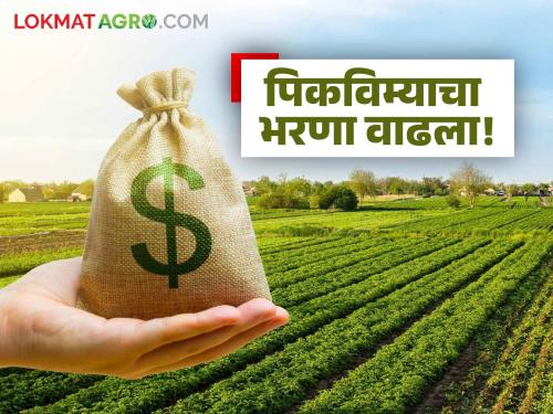 Farmers now face more than Rs 700 crore in land penalty every year due to closure of 'One Rupee Crop Insurance' | 'एक रुपयात पीक विमा' बंद झाल्यामुळे आता शेतकऱ्यांच्या वाट्याला दरवर्षी ७०० कोटींपेक्षा अधिक भुर्दंड