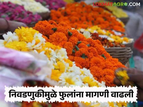 Flower Market: The demand for flowers in the market increased due to the election; Prices increased in the flower market | Flower Market : निवडणुकीमुळे बाजारात फुलांना मागणी वाढली; फुल बाजारात दर वधारले