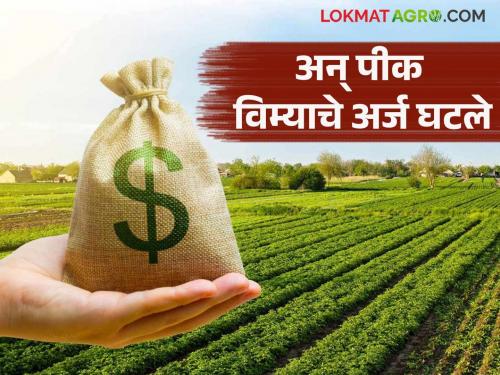 Crop insurance applications have dropped by 92 lakh this year due to the restriction of identity numbers and other factors. | ओळख क्रमांकाचे बंधन अन् इतर गोष्टींमुळे पीक विम्याचे अर्ज यंदा तब्बल ९२ लाखांनी घटले