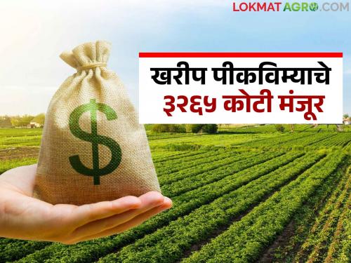 Government approves Rs 3,265 crore for Kharif crop insurance; 'This' district received the most funds | खरीप पीकविम्याचे ३,२६५ कोटी शासनाने केले मंजूर; 'या' जिल्ह्याला मिळाला सर्वाधिक निधी