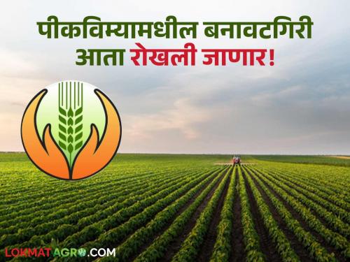 Crop insurance fraud will now stop; blacklisted farmers will not get benefits for 5 years | पीकविम्यातील बनावटगिरी आता थांबणार; काळ्या यादीतील शेतकऱ्यांना ५ वर्षे लाभ नाही