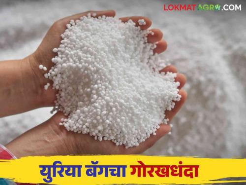 Urea Black Market: Farmers do not get urea; Read the news in detail | Urea Black Market : शेतकऱ्यांना युरिया मिळेना ; उद्योगवापरासाठी जोरदार पॅकिंग काय आहे प्रकरण वाचा सविस्तर