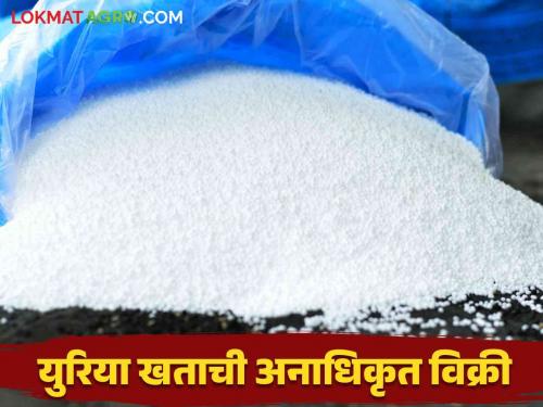 Urea Scam Case: Unauthorized urea sale by person; Action taken by the Department of Agriculture | Urea Scam Case:अनुदानित युरियावर अनधिकृतांचा डोळा; कृषी विभागाने केली कारवाई