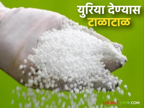 There is a reluctance to give urea as soon as linking is stopped; what is the matter? | लिंकिंग बंद होताच युरिया देण्यास होतेय टाळाटाळ; काय आहे प्रकरण?