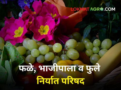 Organized fruit vegetable and flower export conference in Pune by Panan Board | पणन मंडळाकडून निर्यातीला चालना देण्यासाठी पुण्यात फळे, भाजीपाला व फुले निर्यात परिषदेचे आयोजन