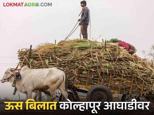 36,753 crores from the bill to the sugarcane farmers in the state | राज्यातील ऊस उत्पादक शेतकऱ्यांना बिलापोटी मिळाले ३६,७५३ कोटी